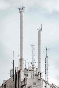 Belstar Plant